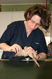 VETERINAIRE NAC 037